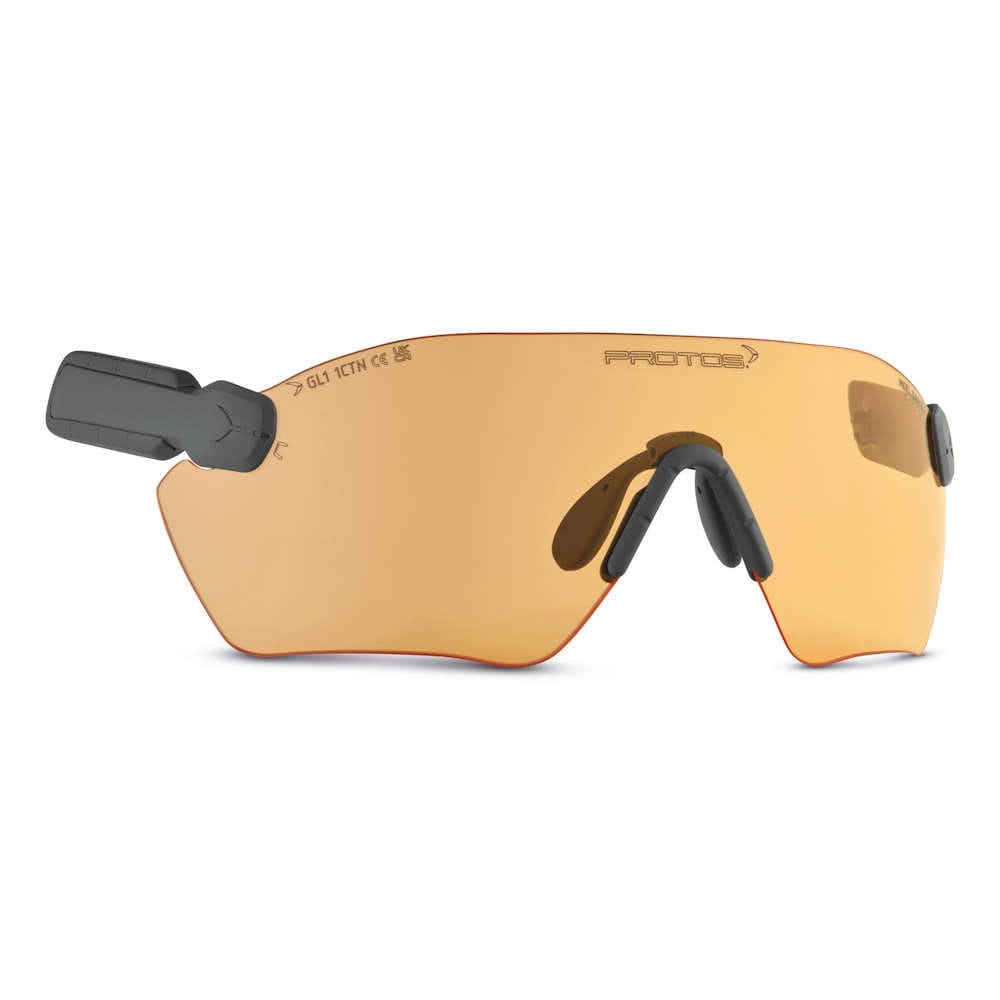 PROTOS® Integral Schutzbrille