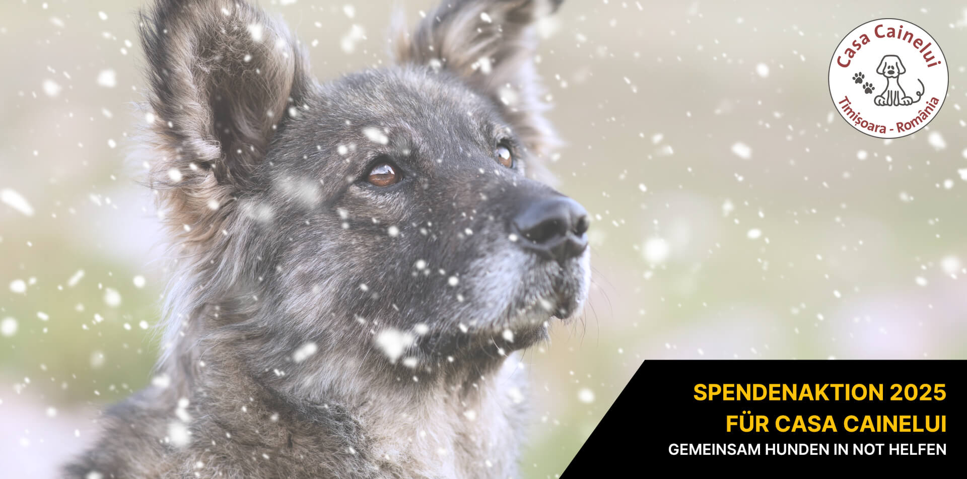 Spendenaktion 2025 für Casa Cainelui