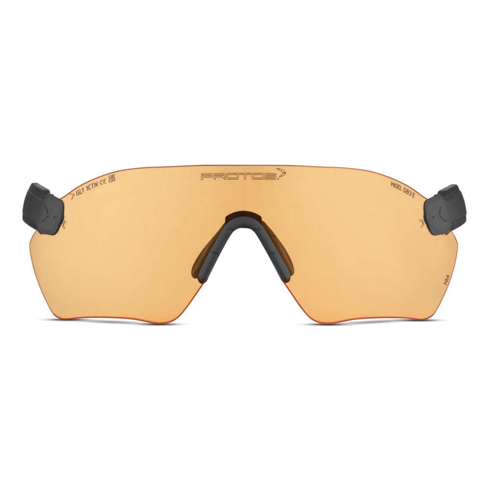 PROTOS® Integral Schutzbrille