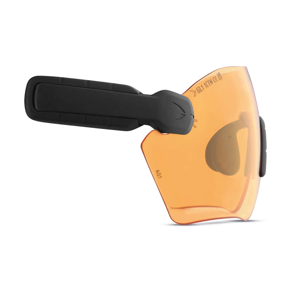 PROTOS® Integral Schutzbrille