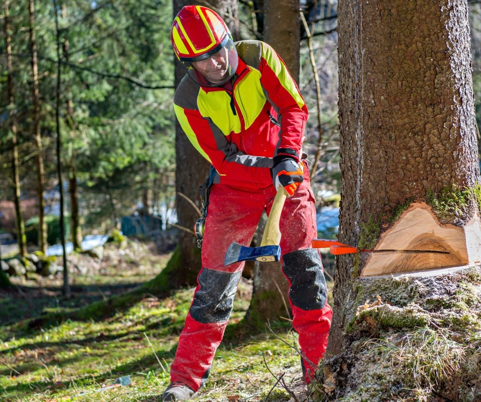 Gamaschen & Knieschützer