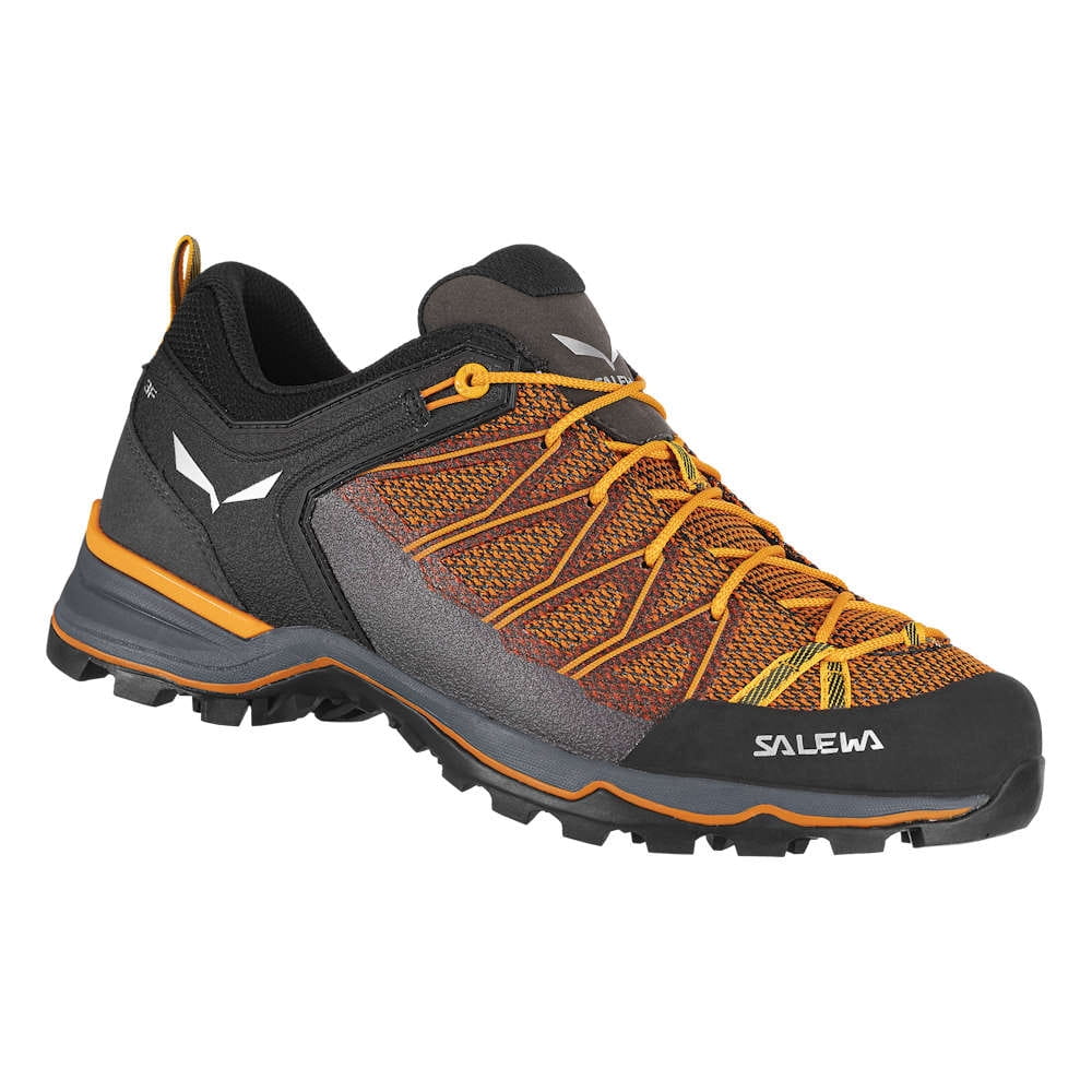 Salewa MS MTN Trainer Lite
