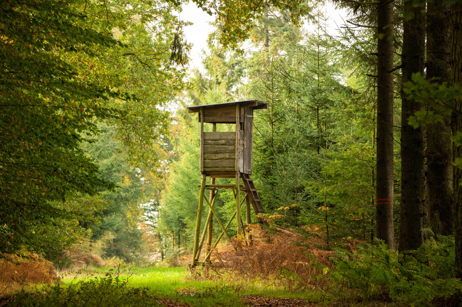Revierarbeiten im Herbst