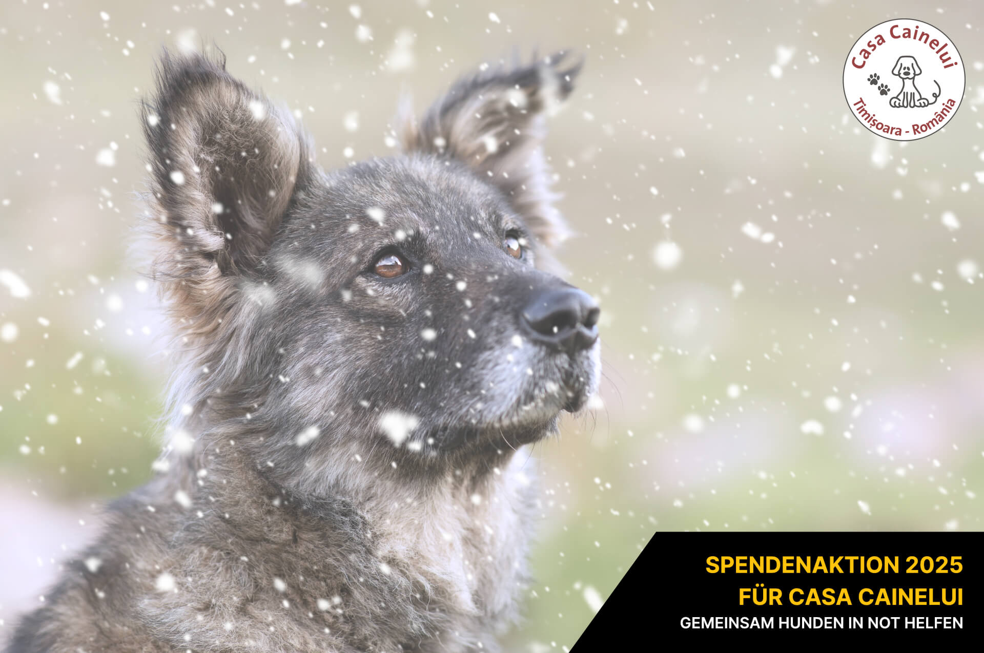 Spendenaktion 2025 für Casa Cainelui