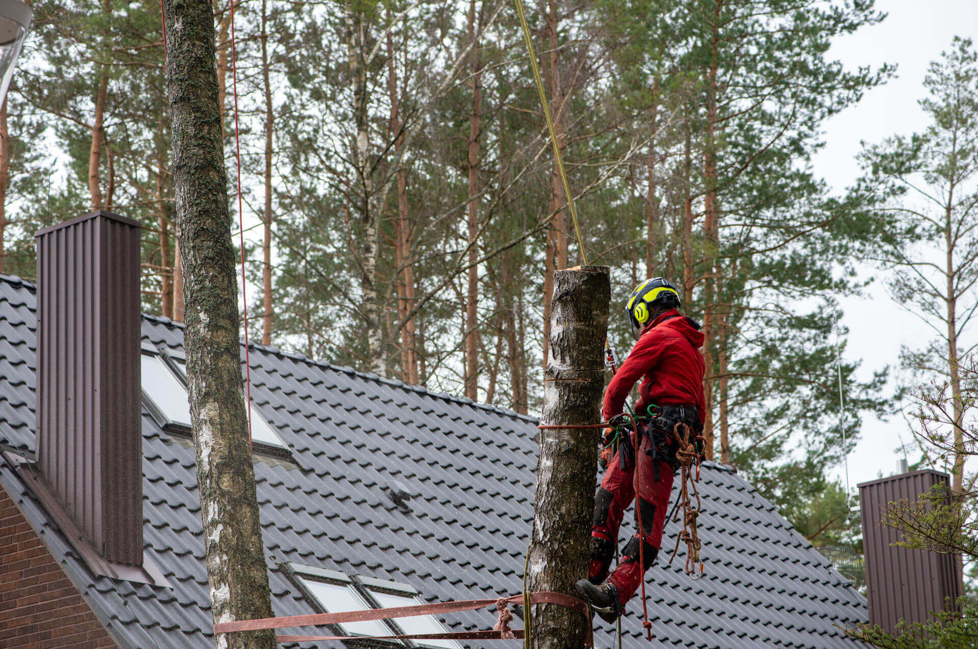 Schutzhelme für die Arbeit