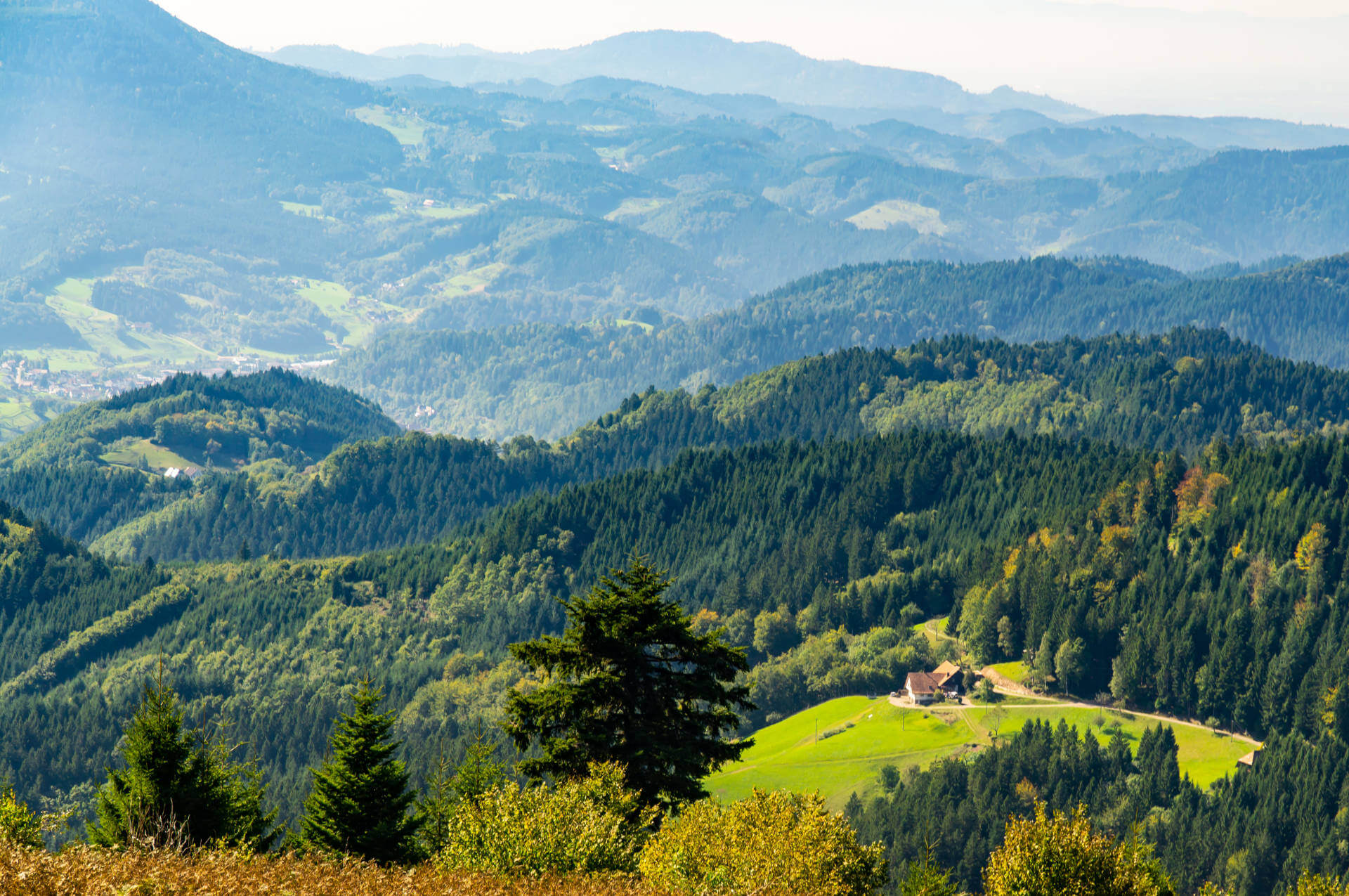 Beliebte Wanderwege