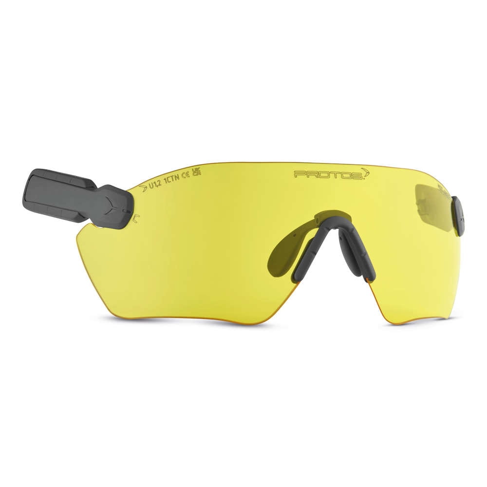 PROTOS® Integral Schutzbrille