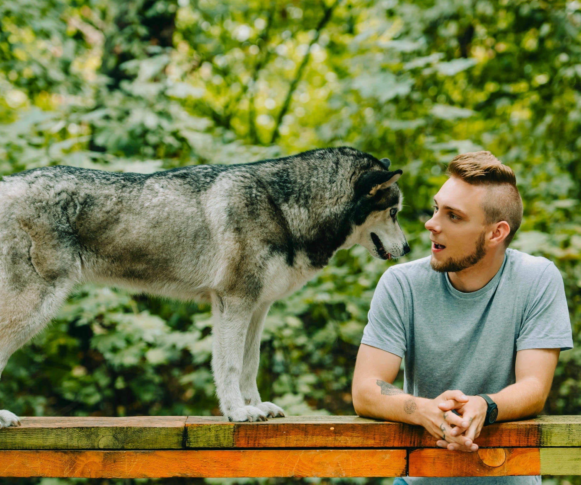 Hundesport Funktionsbekleidung & Shirts