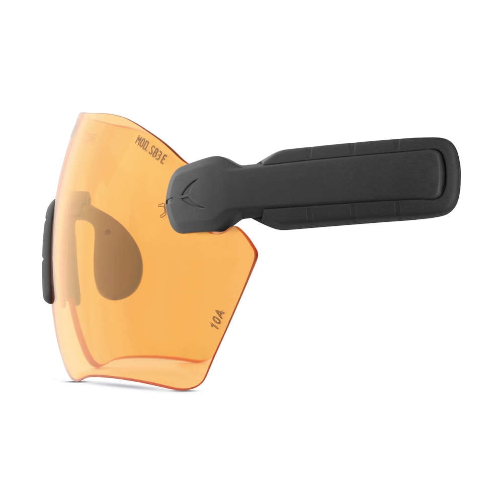 PROTOS® Integral Schutzbrille