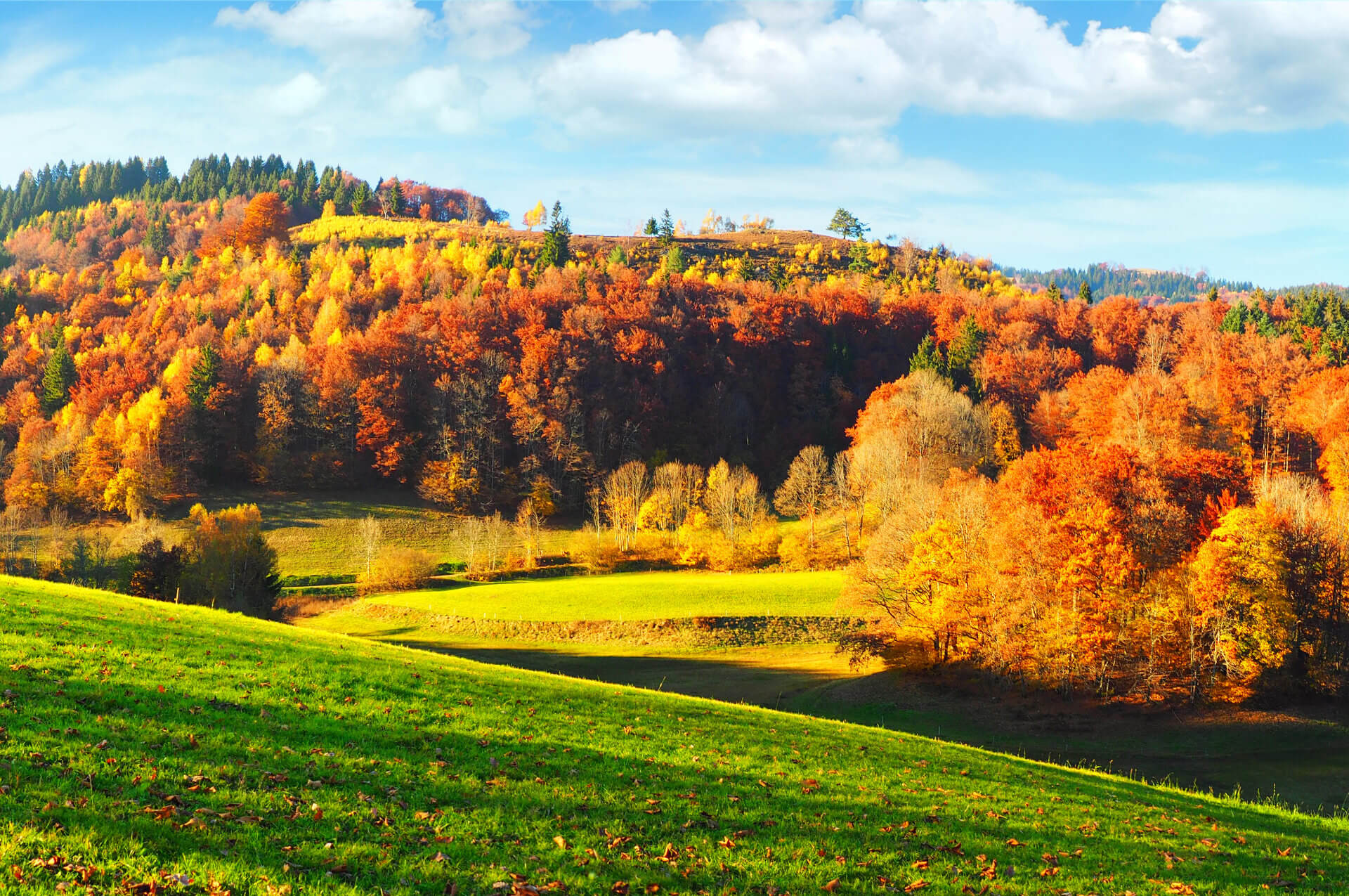 Beliebte Ausflugsziele im Herbst