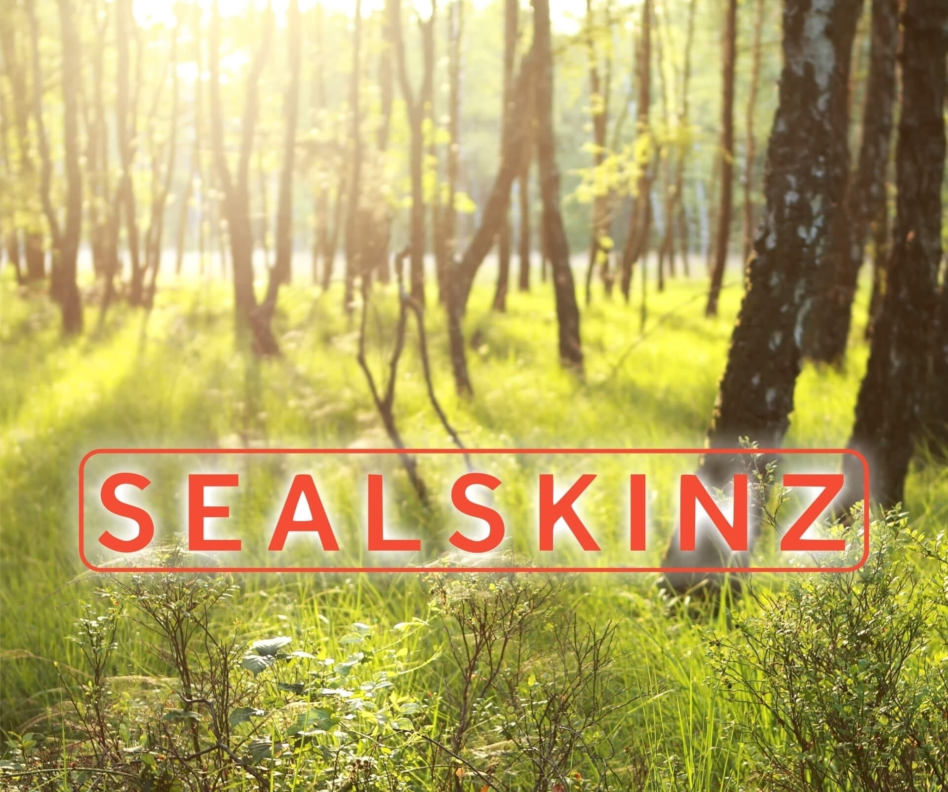 Sealskinz